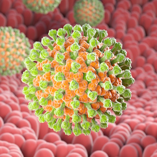 Ротавирус – Заболевания, фото №1