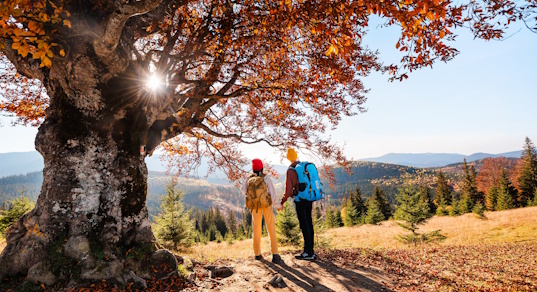 Прогулка при депрессии